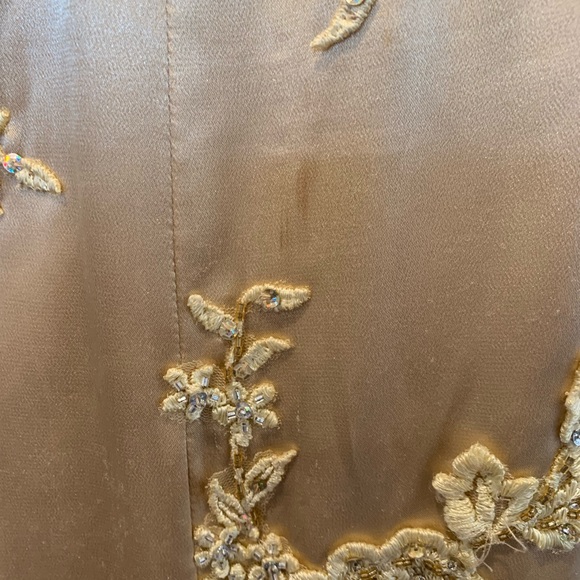 Cache Gold Evening Gown - Picture 6 of 11